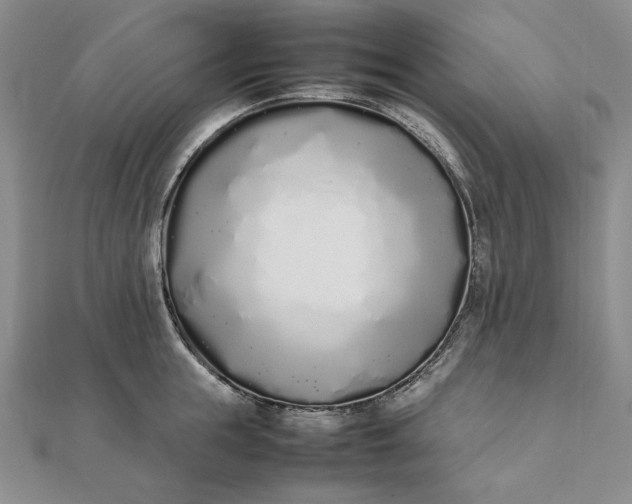 X0000111780855200908061113