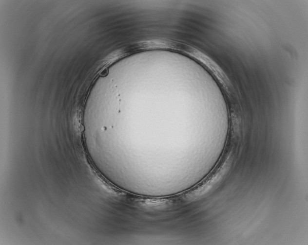 X0000111780857200908061113