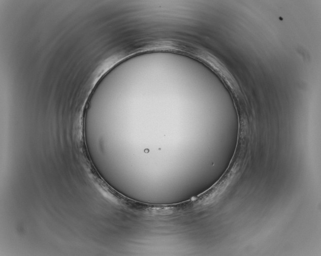 X0000111780858200908061113