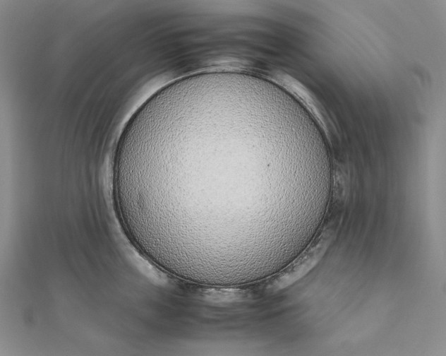 X0000111780859200908061113