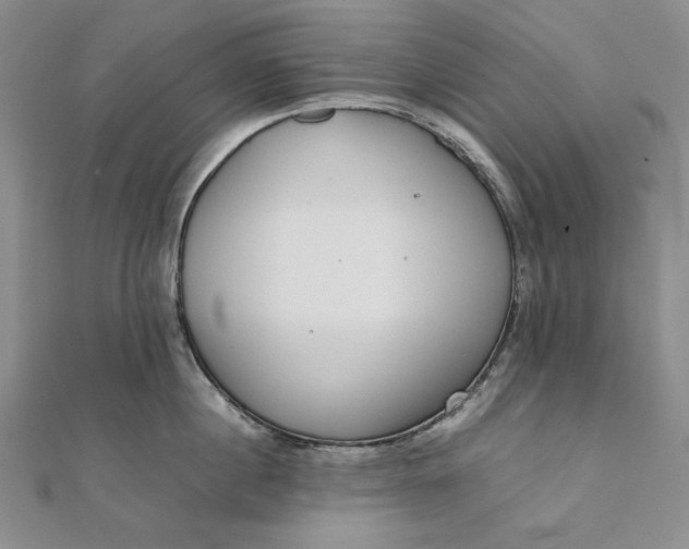 X0000111780860200908061113