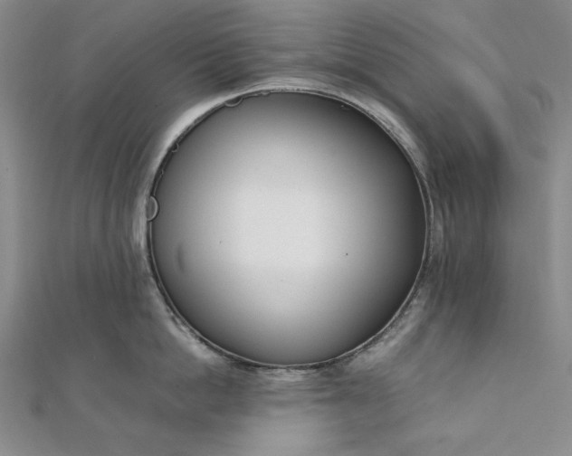 X0000111780862200908061113