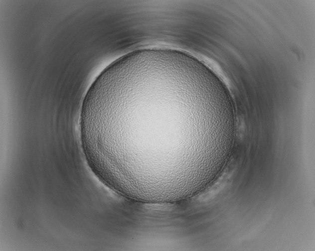 X0000111780863200908061113