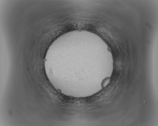 X0000111780865200908061113