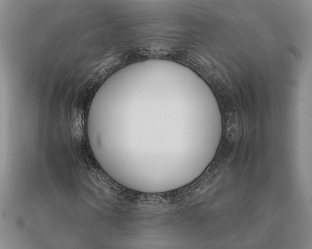 X0000111780866200908061113