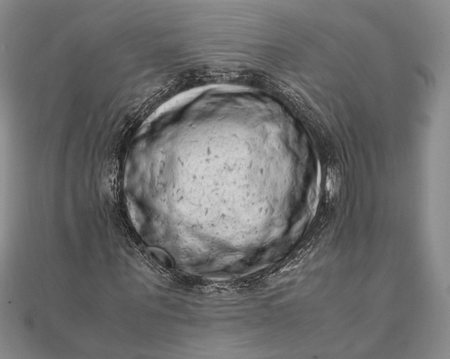 X0000111780867200908061113