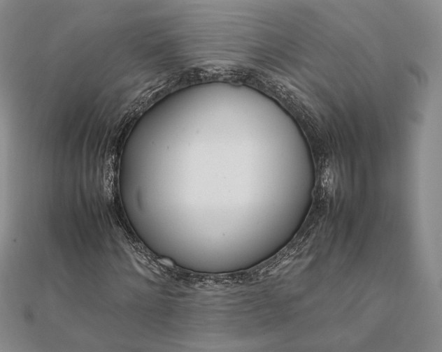 X0000111780868200908061113