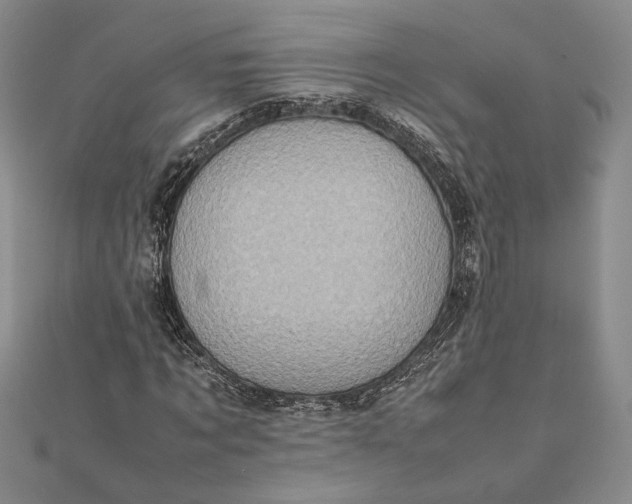 X0000111780869200908061113