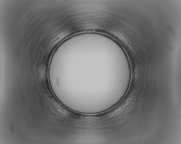 X0000111780873200908061113