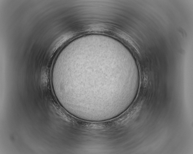 X0000111780874200908061113