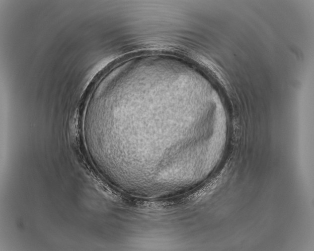 X0000111780875200908061113