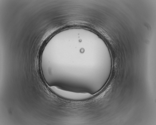 X0000111780877200908061113