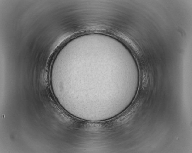 X0000111780878200908061113