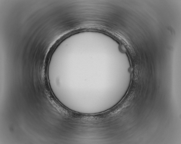 X0000111780880200908061112
