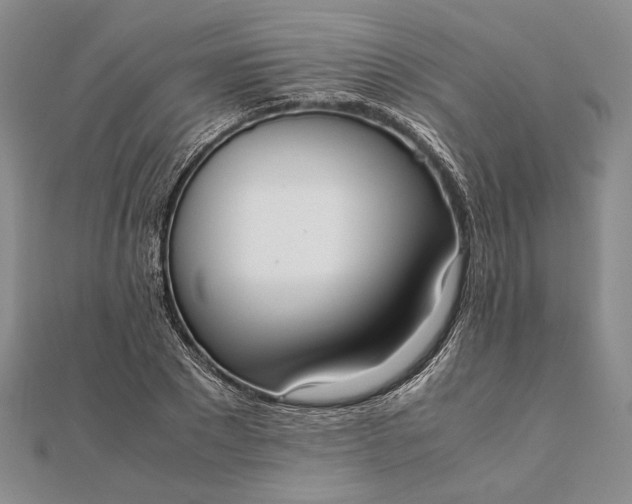 X0000111780881200908061112
