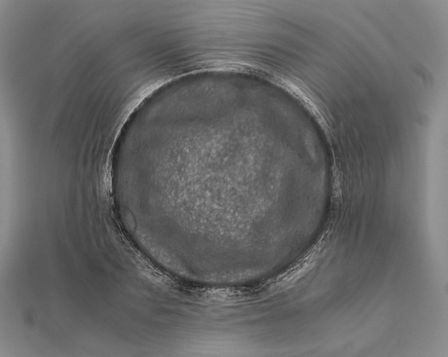 X0000111780883200908061112