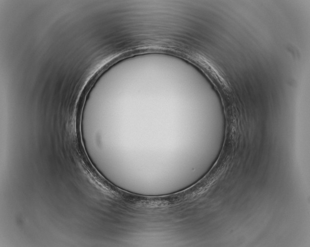 X0000111780884200908061112