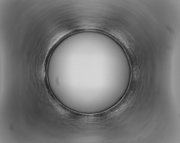 X0000111780885200908061112