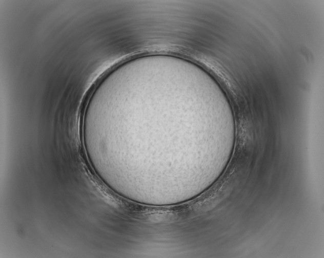 X0000111780886200908061112