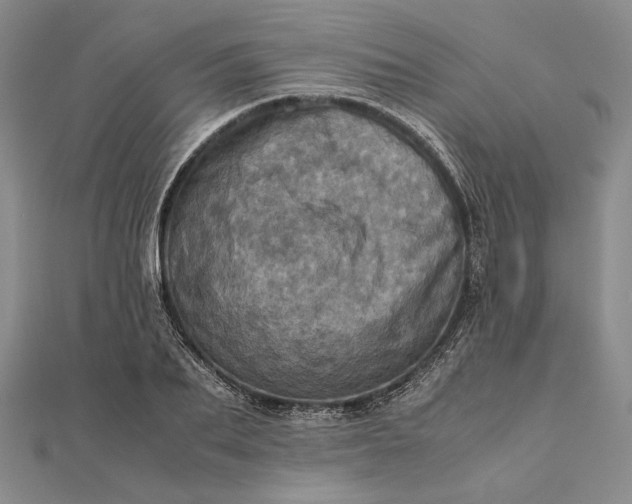 X0000111780887200908061112