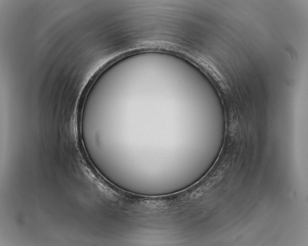 X0000111780888200908061112