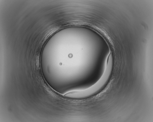 X0000111780889200908061112