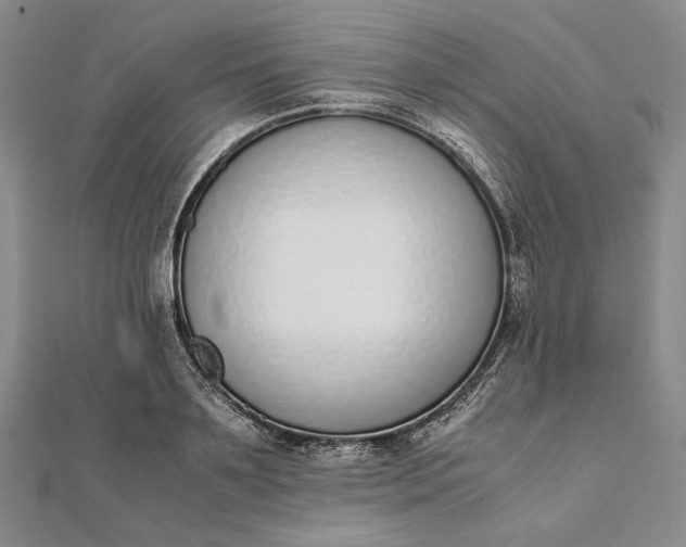 X0000111780891200908061112