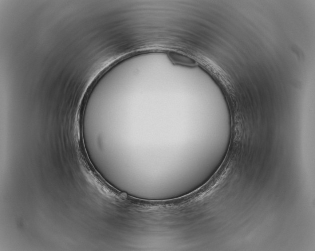 X0000111780892200908061112
