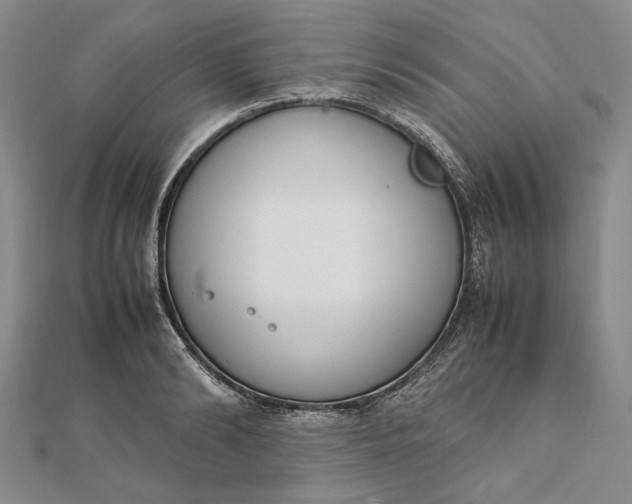 X0000111780894200908061112