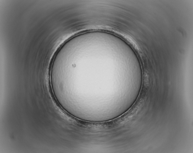 X0000111780895200908061112