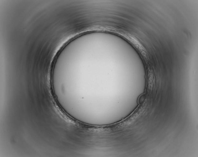 X0000111780896200908061112