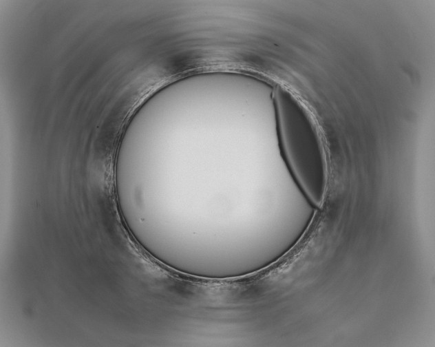X0000111780897200908061112