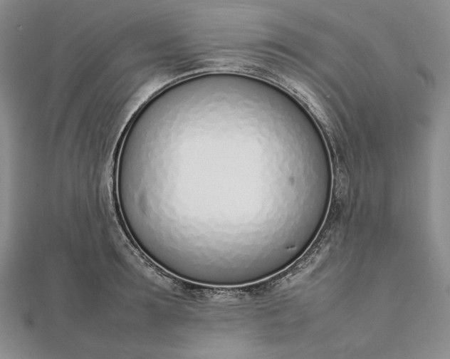 X0000111780899200908061112