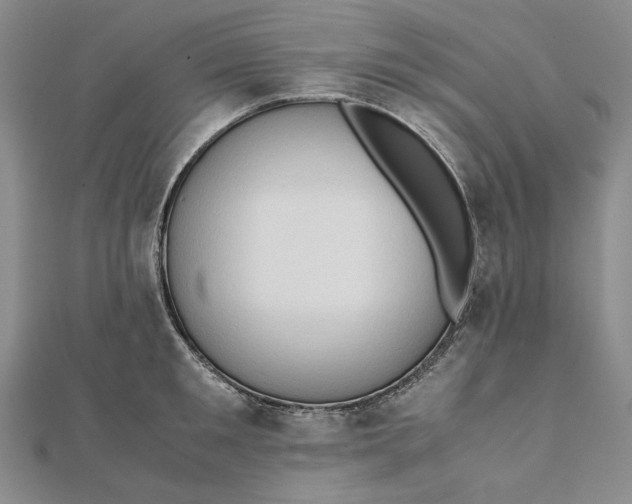 X0000111780901200908061112