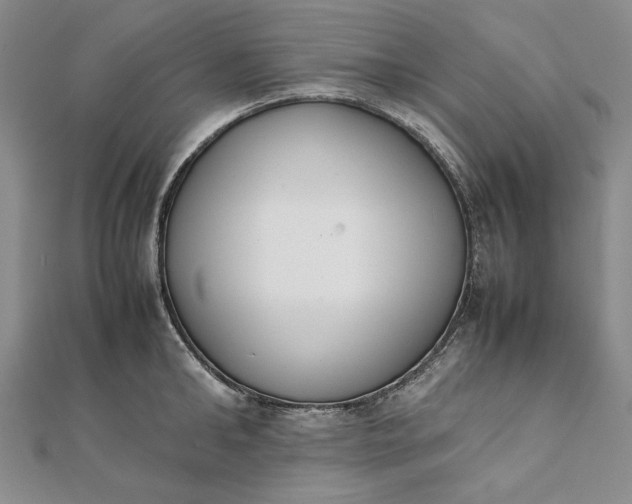 X0000111780902200908061112