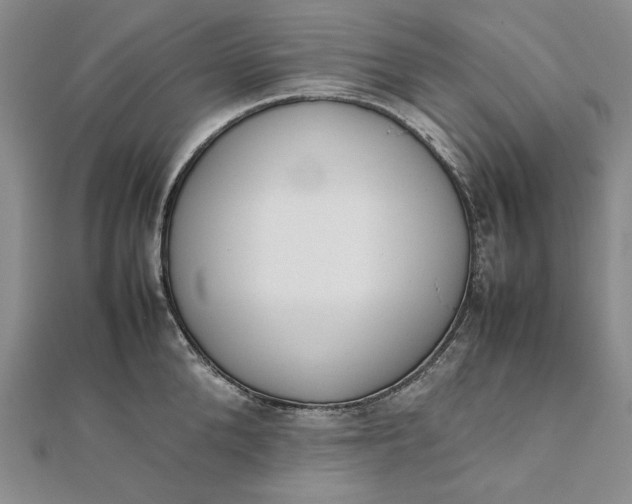 X0000111780904200908061112