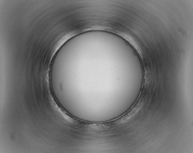 X0000111780906200908061112