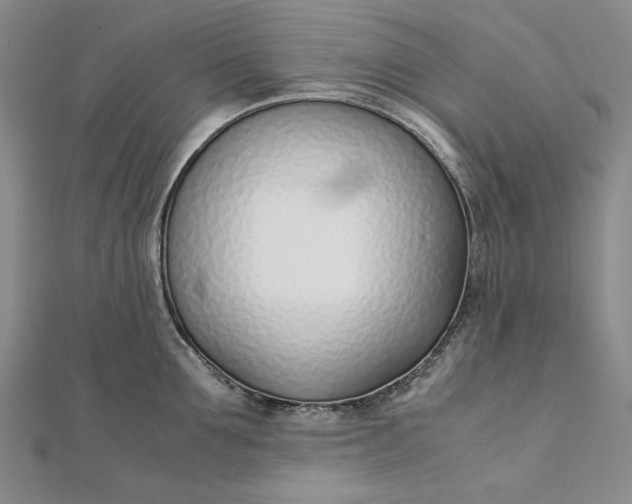 X0000111780907200908061112