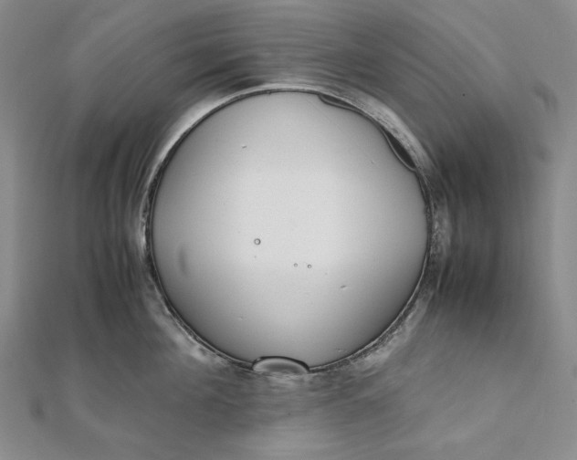 X0000111780908200908061112