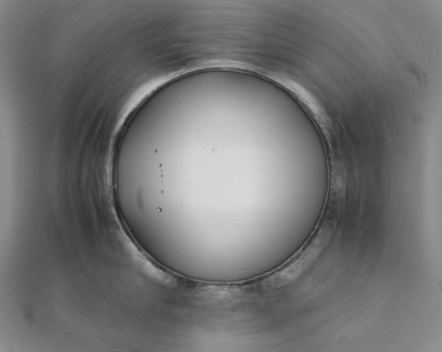 X0000111780910200908061112