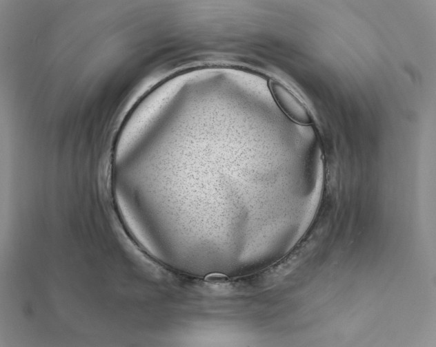 X0000111780911200908061112