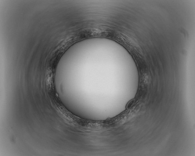 X0000111780914200908061111