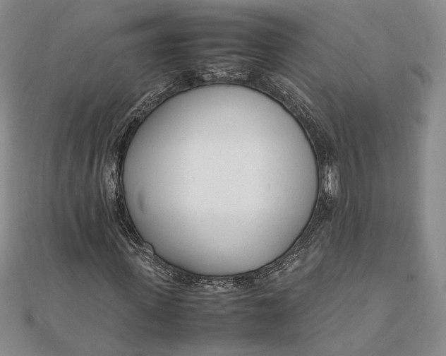X0000111780915200908061111