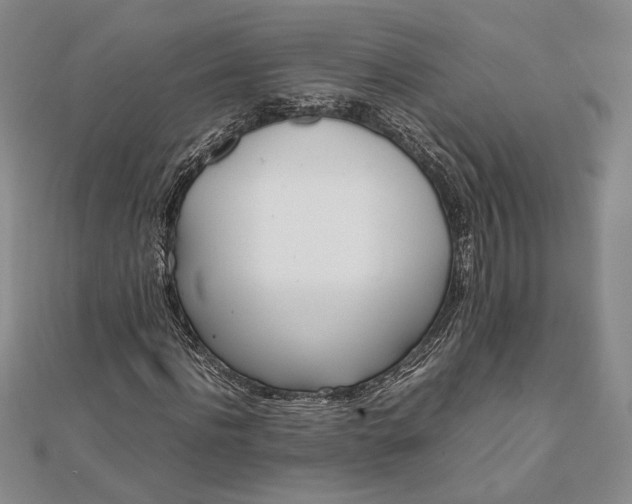 X0000111780916200908061111