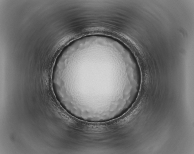 X0000111780921200908061111
