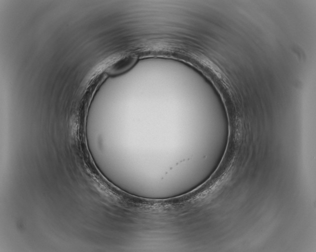 X0000111780922200908061111