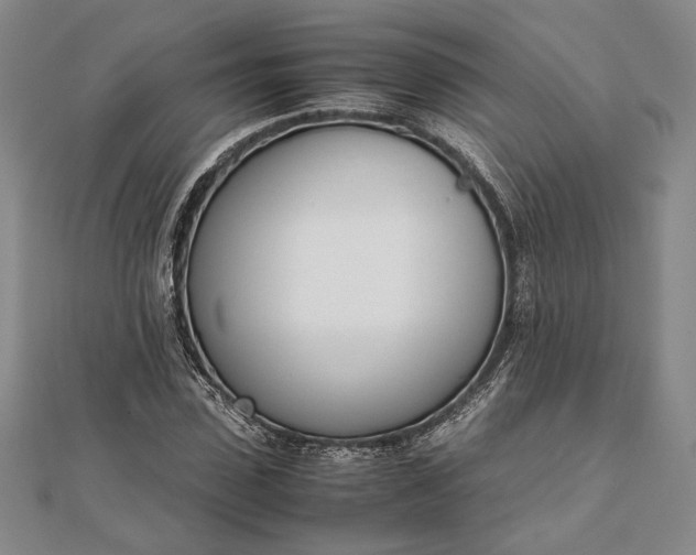 X0000111780923200908061111