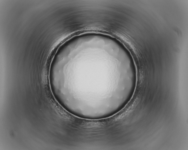 X0000111780925200908061111
