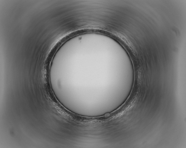 X0000111780926200908061112