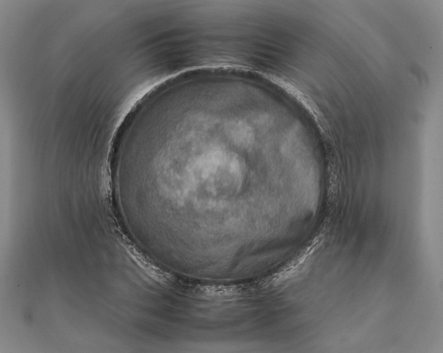 X0000111780927200908061112